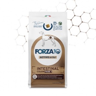 Forza 10 - Active VetDiet Intestinal Colon Fase 1 da 10 Kg