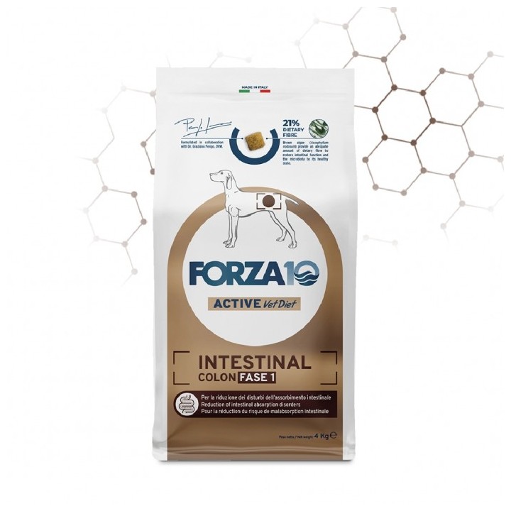 Forza 10 - Active VetDiet Intestinal Colon Fase 1 da 10 Kg
